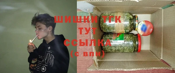 дмт Богданович