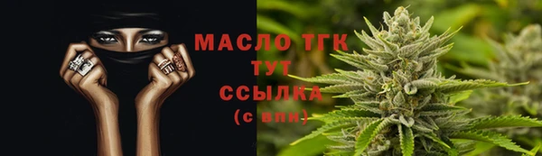 дмт Богданович