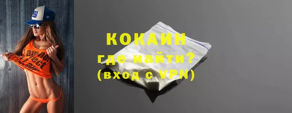 дмт Богданович