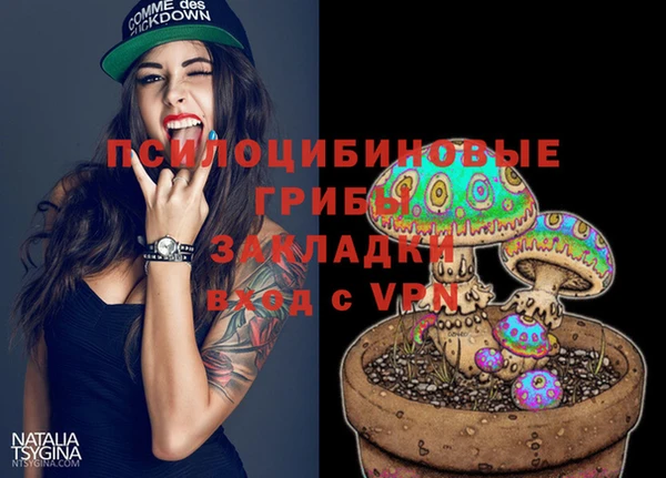 дмт Богданович