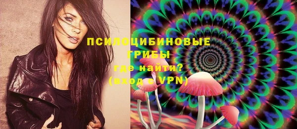 дмт Богородск