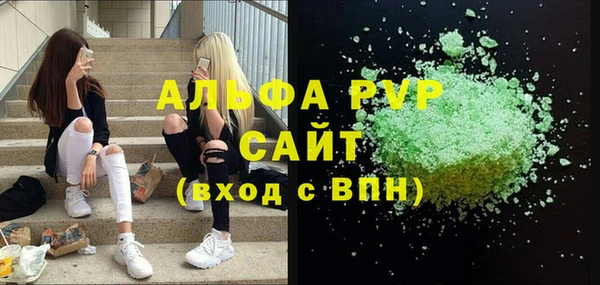 дмт Богданович