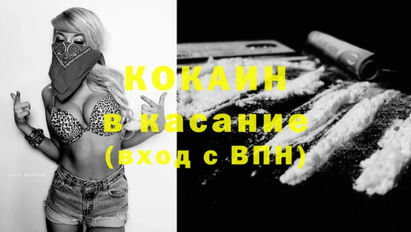 гашик Богородицк
