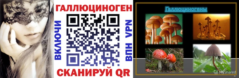 МЕГА онион  Карпинск  Галлюциногенные грибы Psilocybe 
