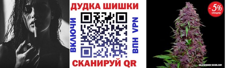 Бошки Шишки сатива Карпинск